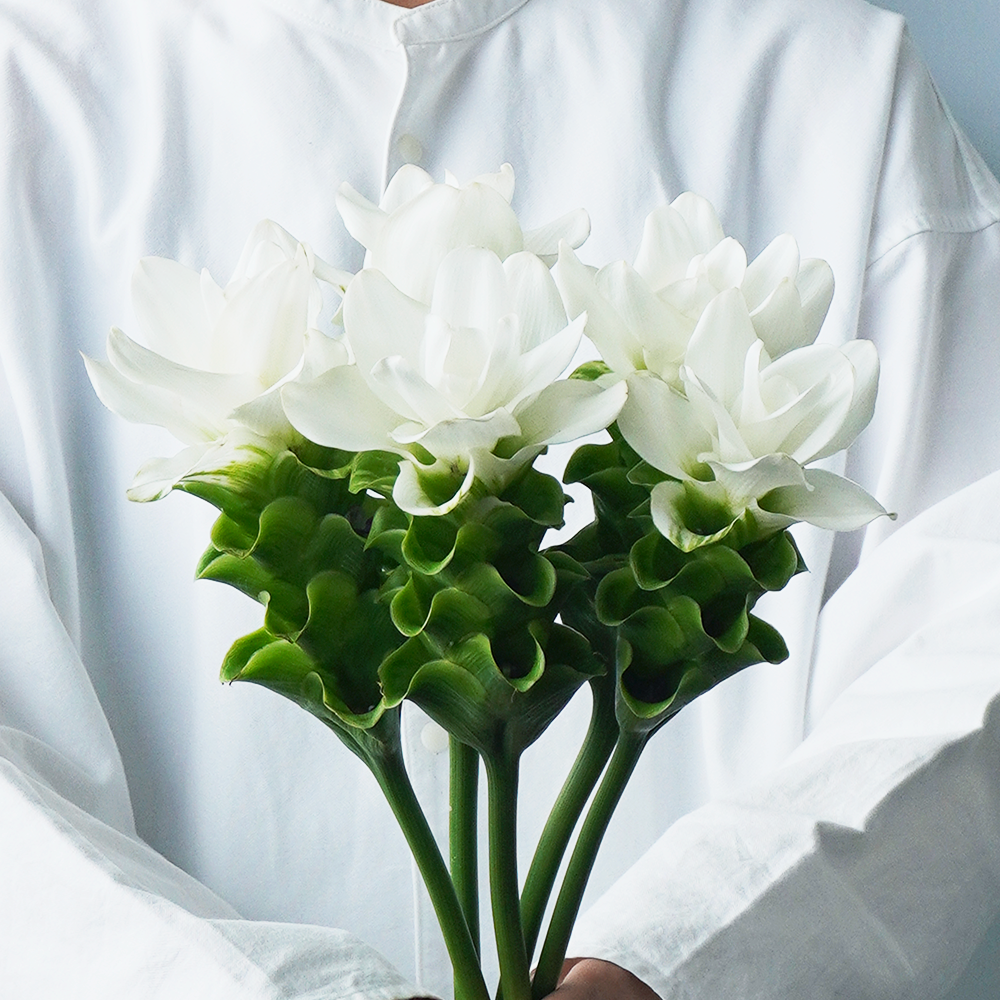 よいはな Yoihana 最高品質のお花をお届けするネット通販