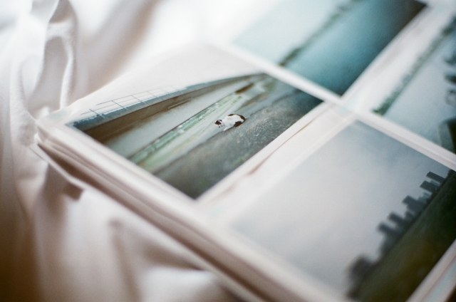 フィルム写真ユーザーが増加！
