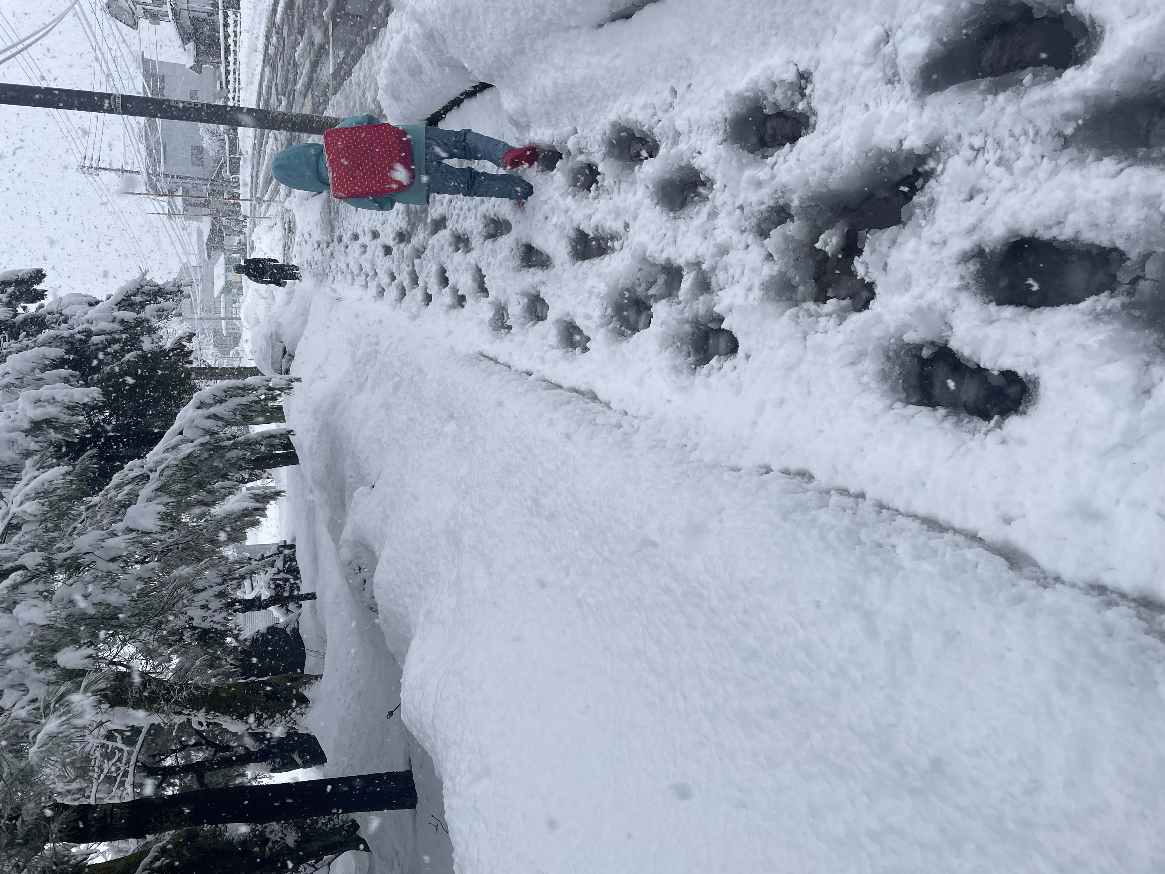 雪国