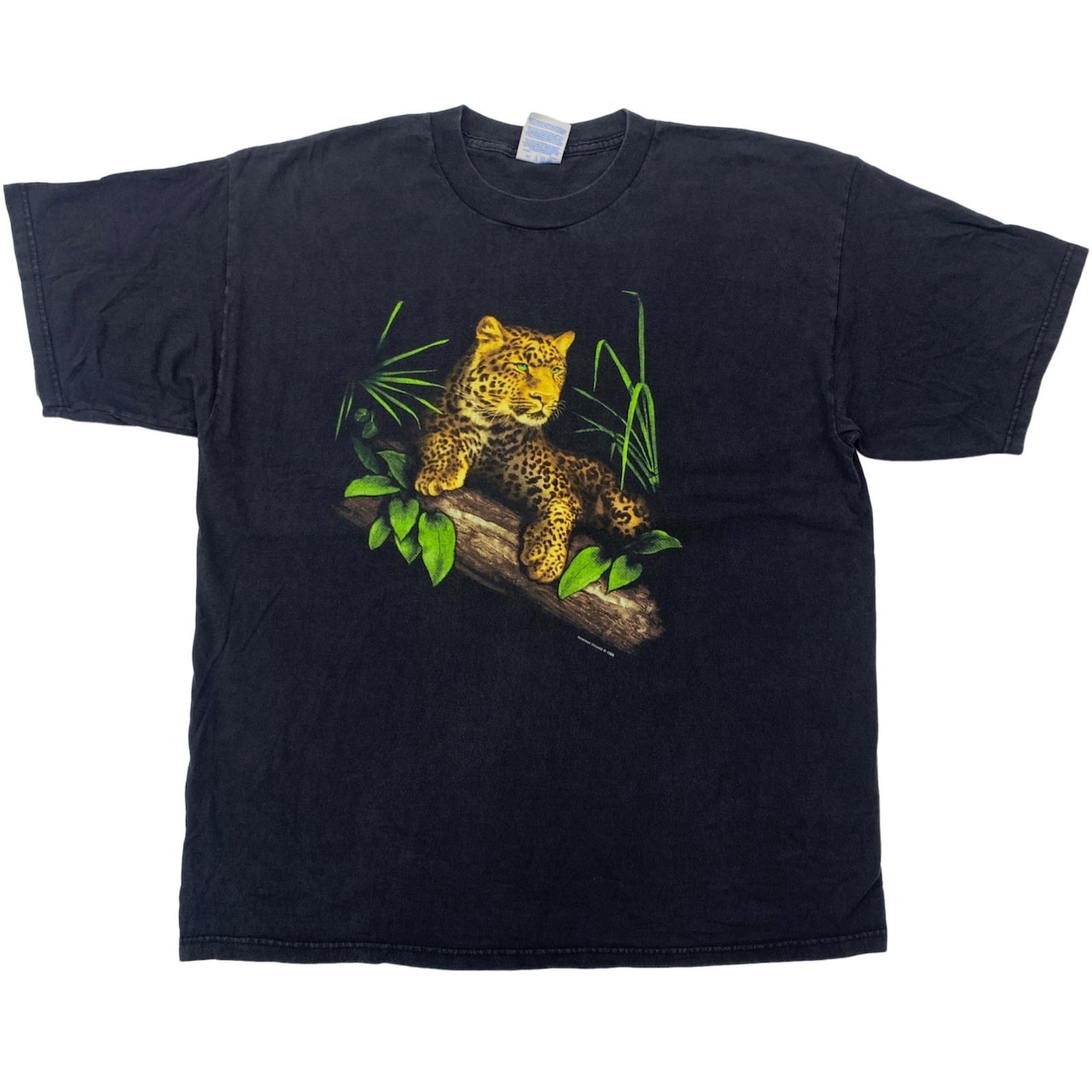 30代からのアニマルTシャツ特集