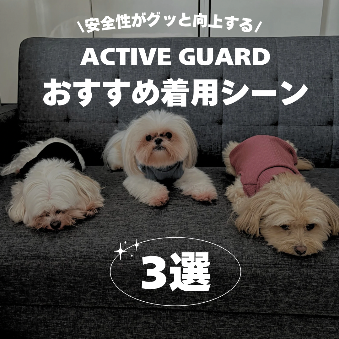 ACTIVE GUARDおすすめ着用シーン