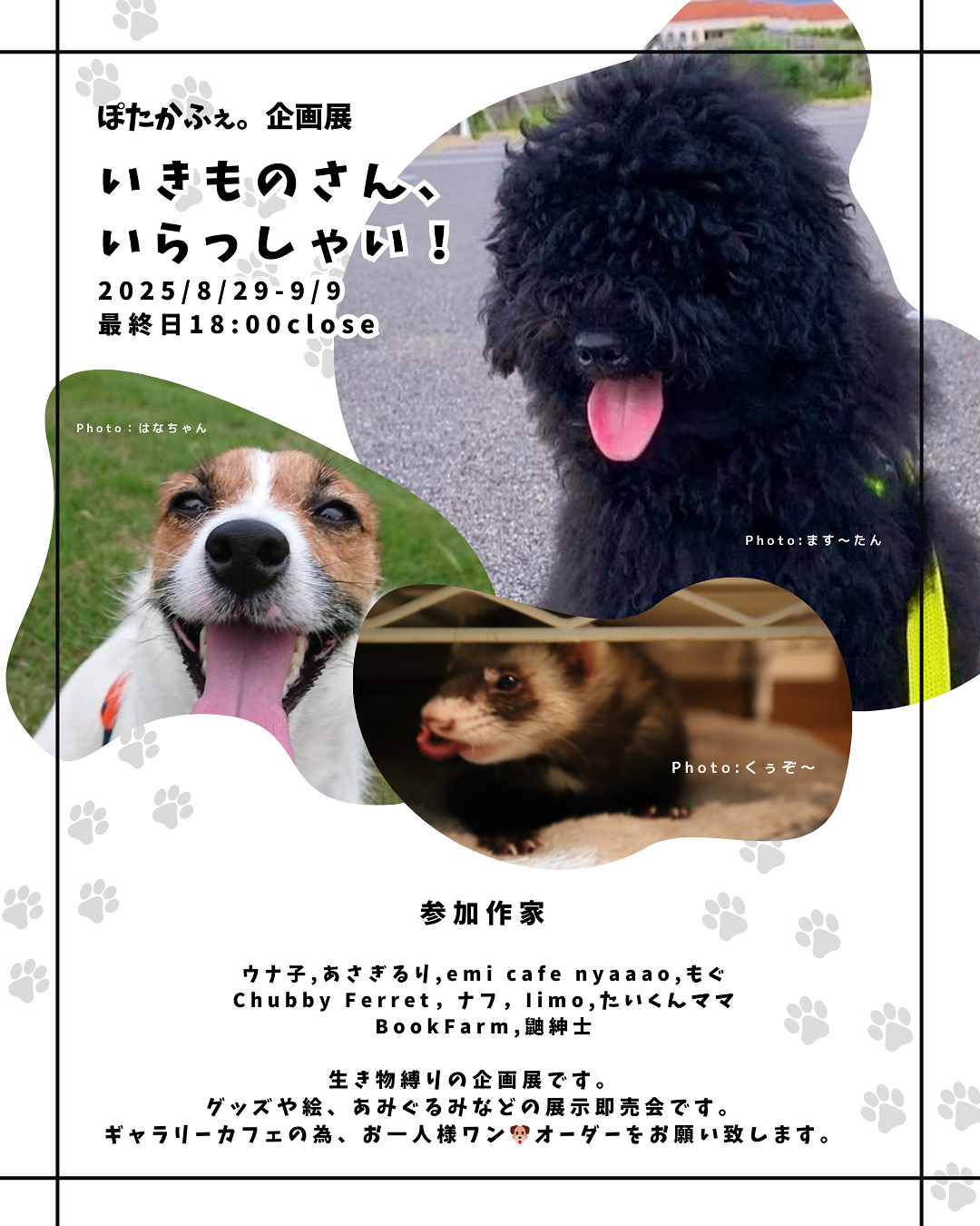 2025年8月29(金)-9月9日(火)ぽたかふぇ。企画展「いきものさん、いらっしゃい！」