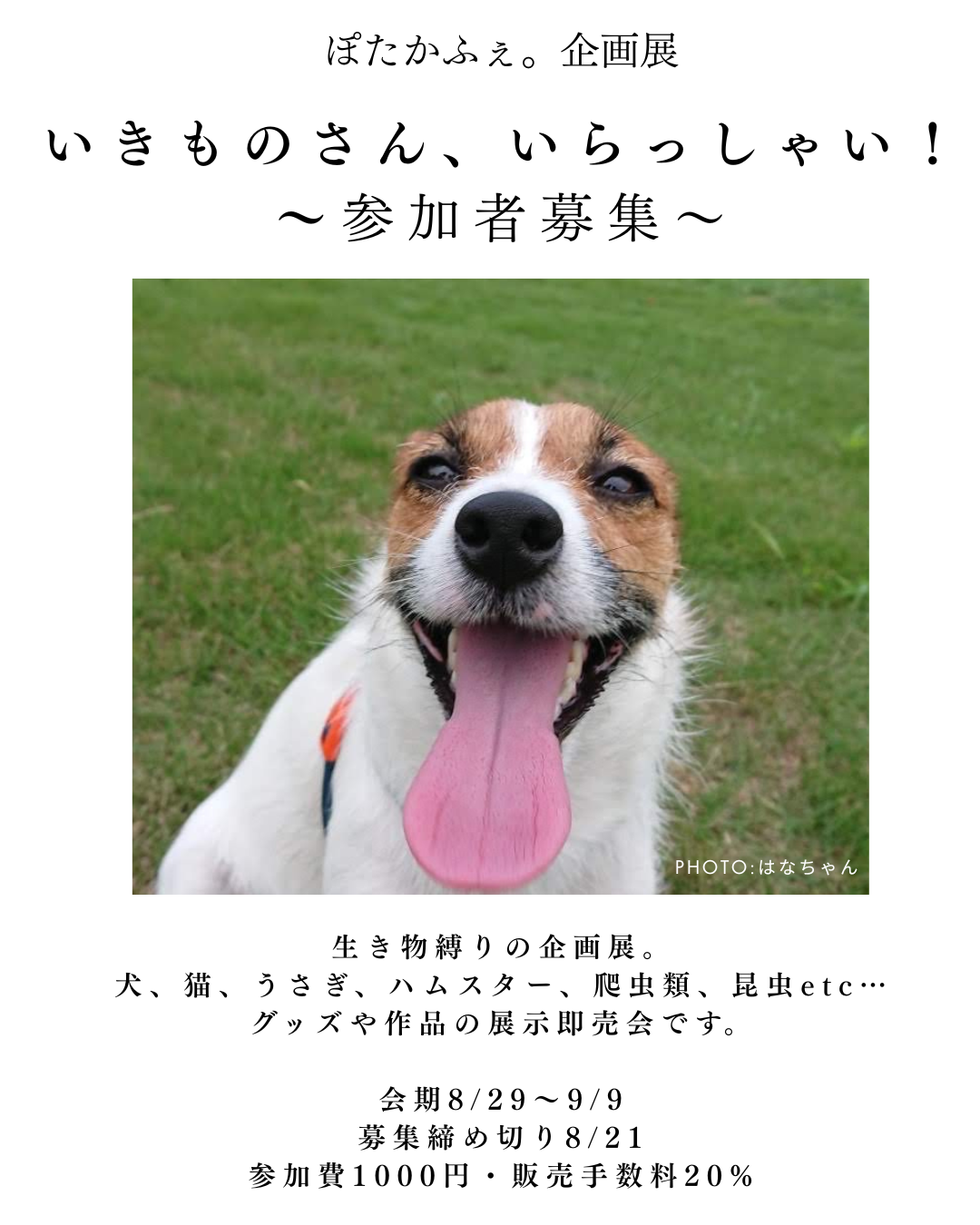 2025/8/29(金)-9/9(火)ぽたかふぇ。企画展「いきものさん、いらっしゃい！」参加者募集！