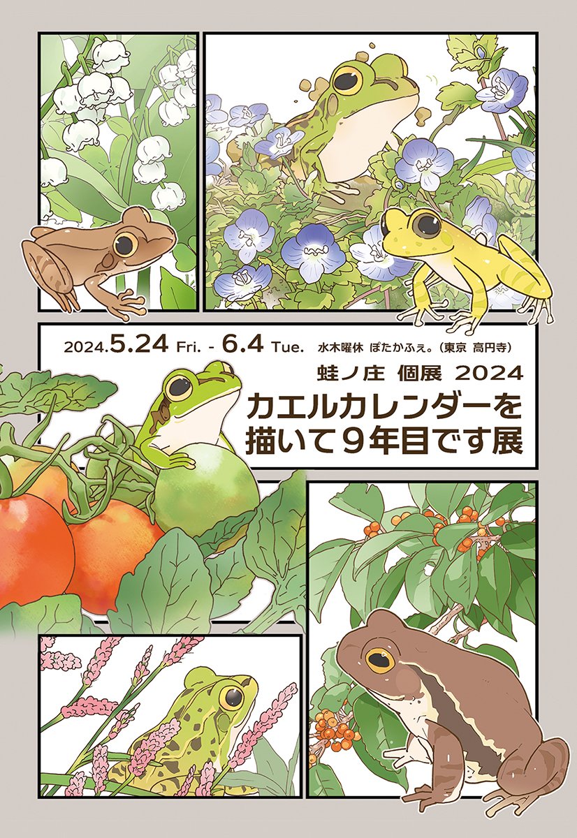 2024年5月24日(金)〜6月4日(火)蛙ノ庄個展「カエルカレンダーを描いて9年目です展」