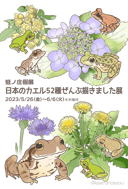 2023/5/26(金)-6/6(火)　蛙ノ庄 個展「日本のカエル52種せんぶ描きました展」