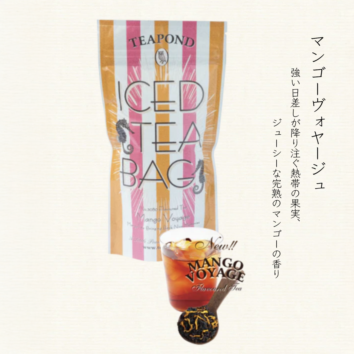 オンライン限定！夏のギフト