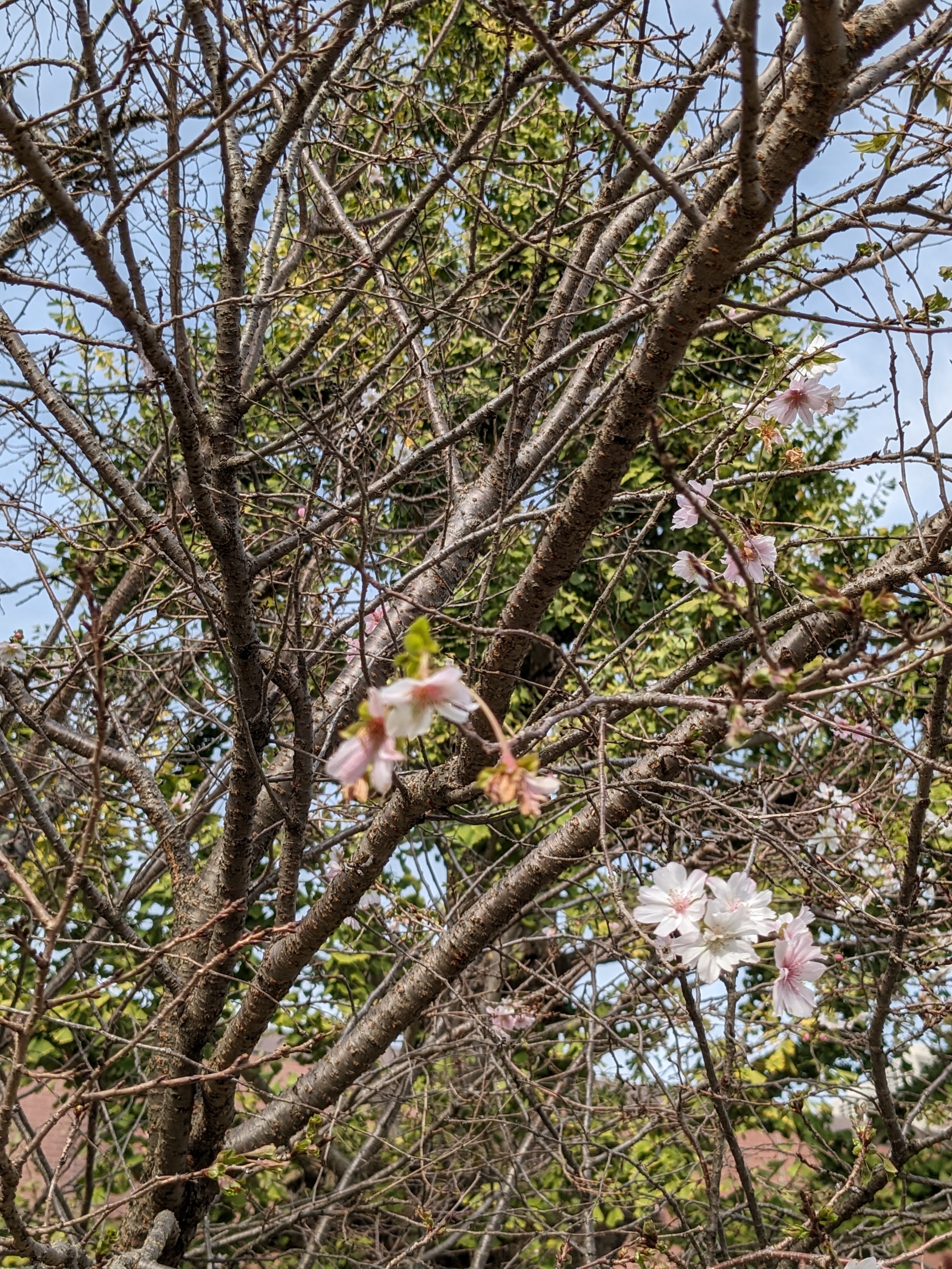 日がな一日