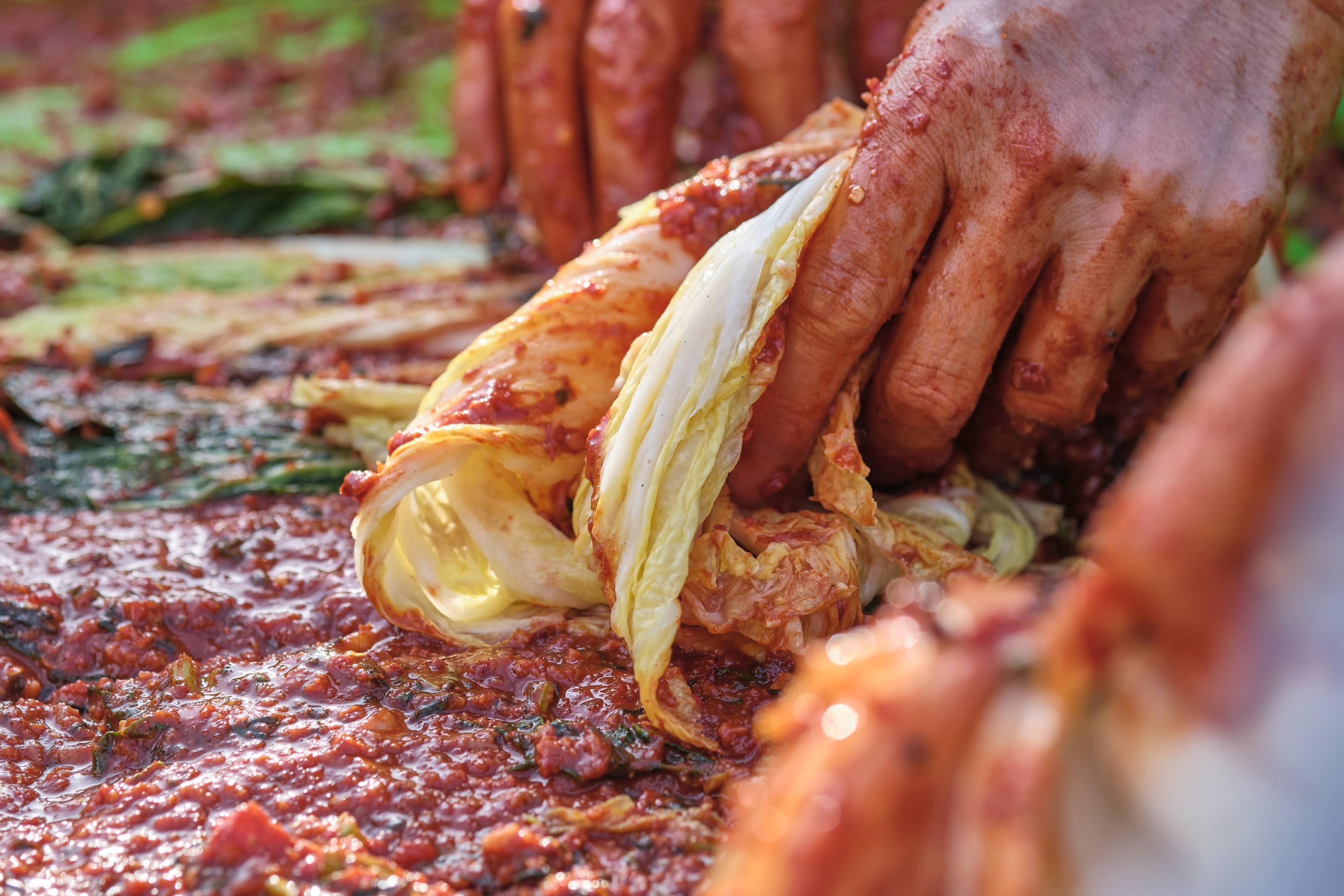 イベント／ＷＳ情報※2026年2月2日更新