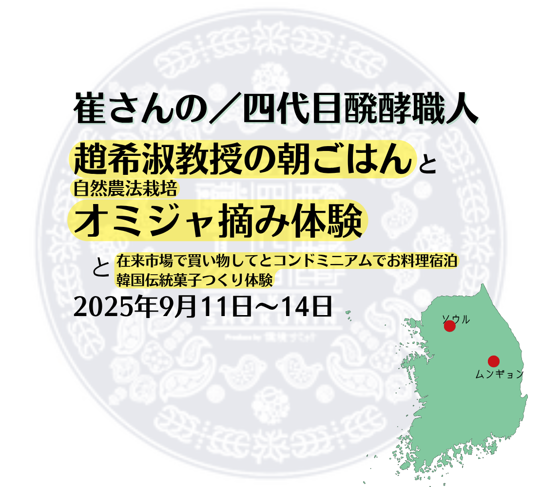 醗酵×旅のご案内【韓国・オミジャ体験ツアー】