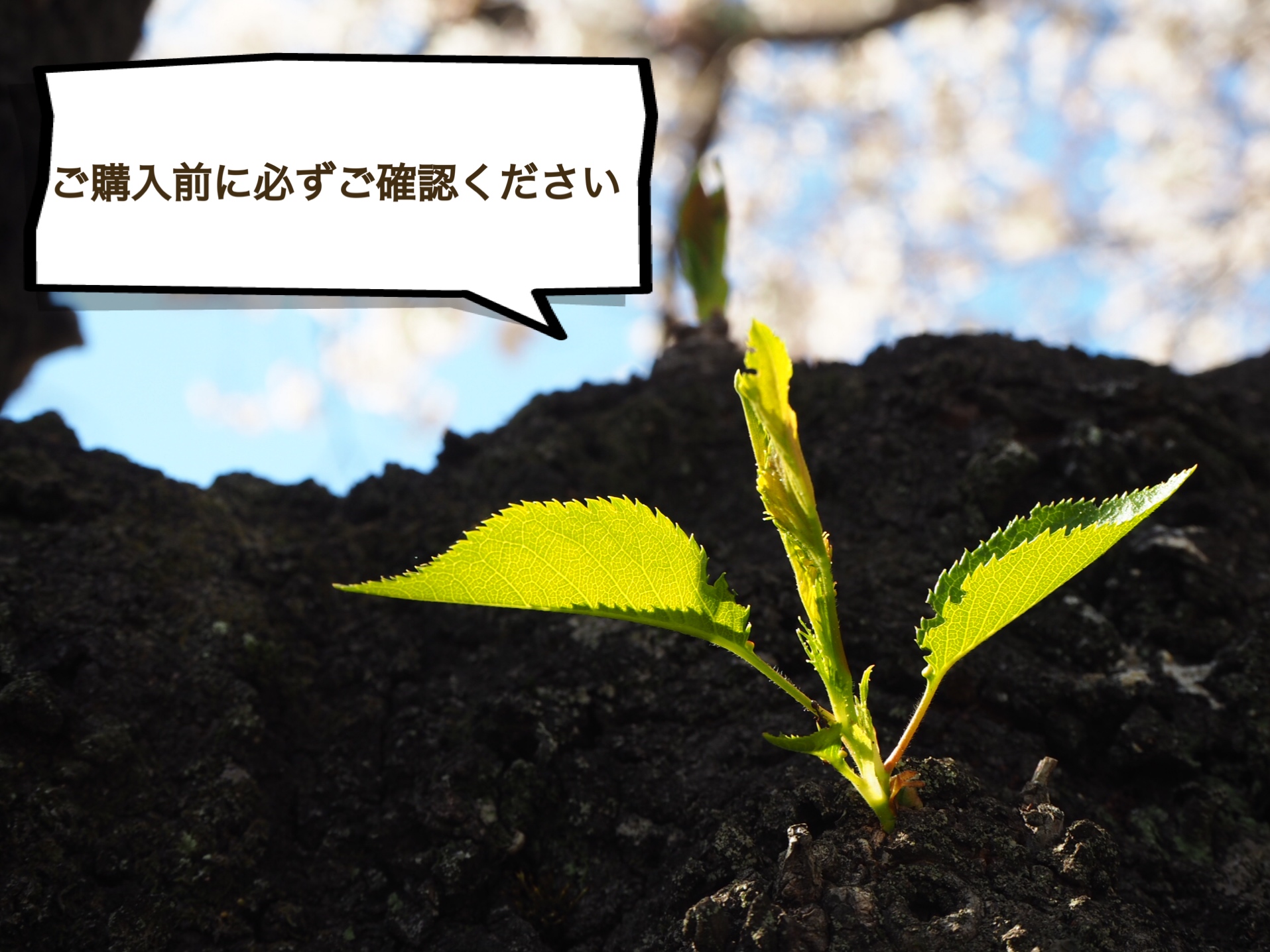 しばらくお休みいたします