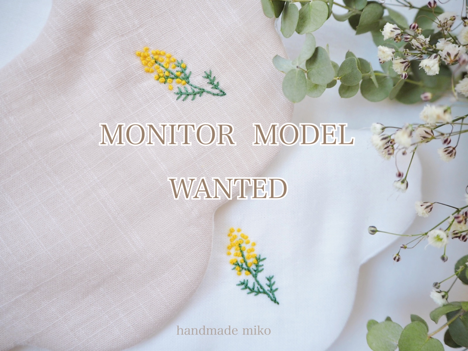 モニターモデル募集中