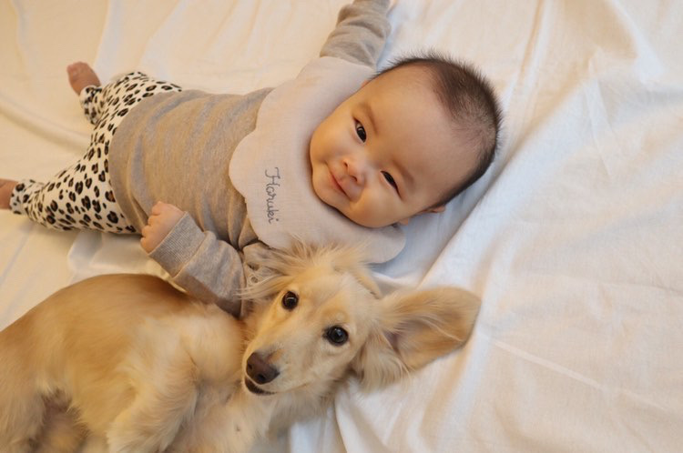 もくもく(中) 着用写真