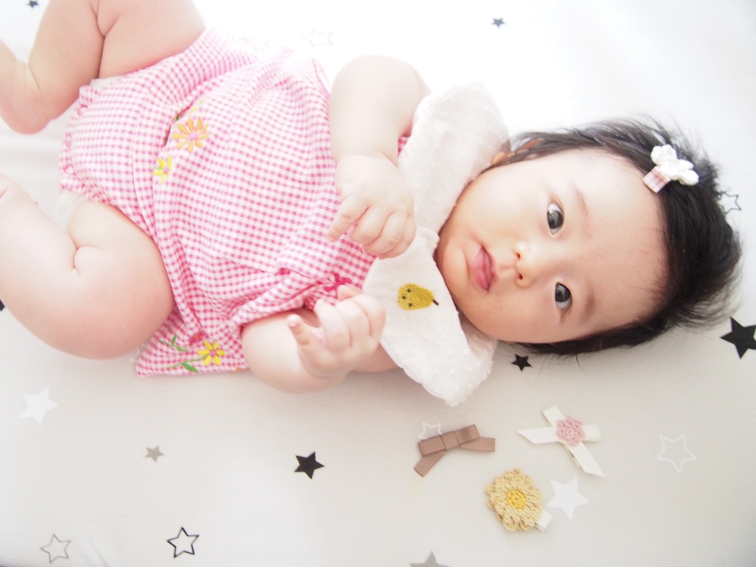 つけ襟スタイ 着用写真