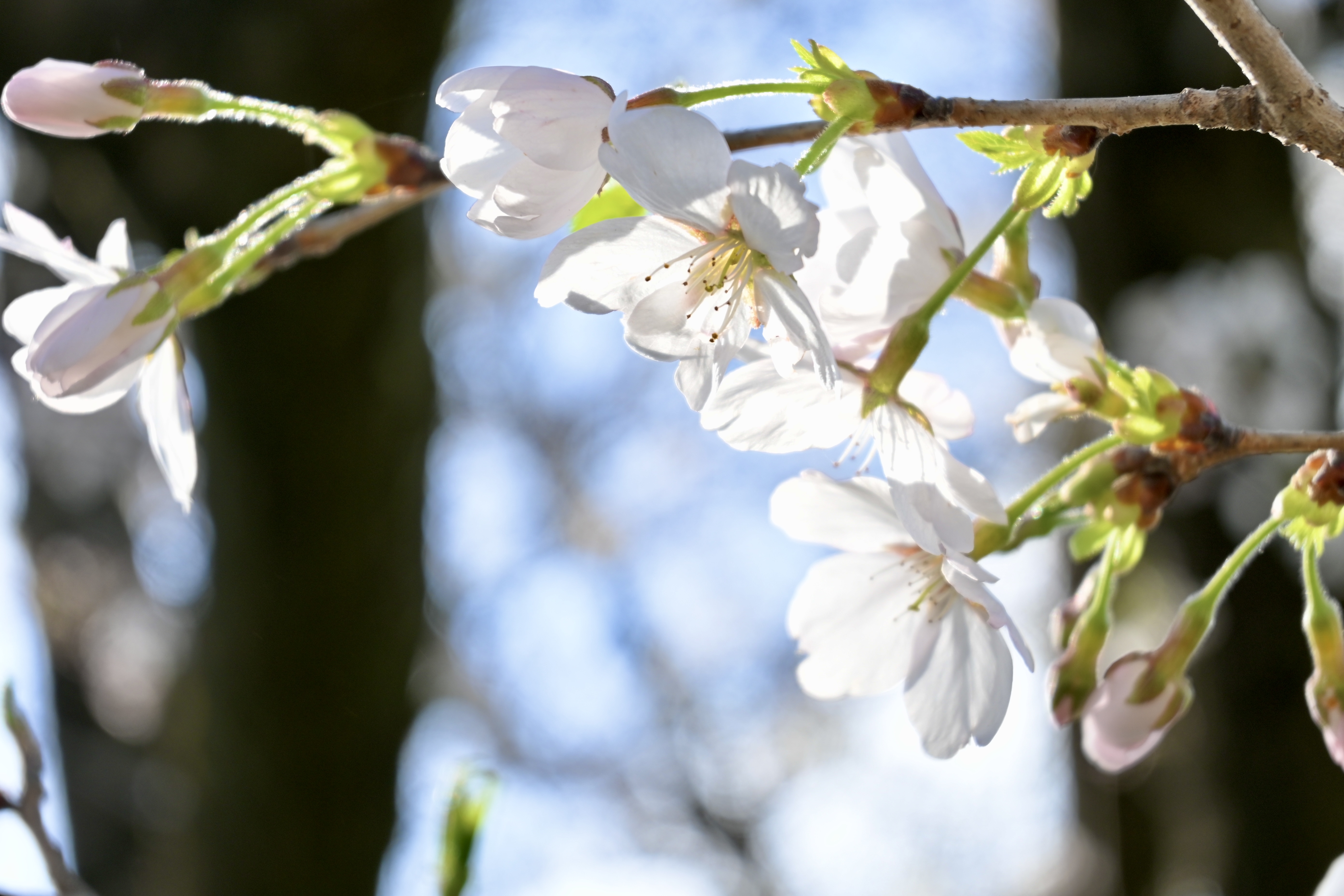 再開しました¨̮⃝