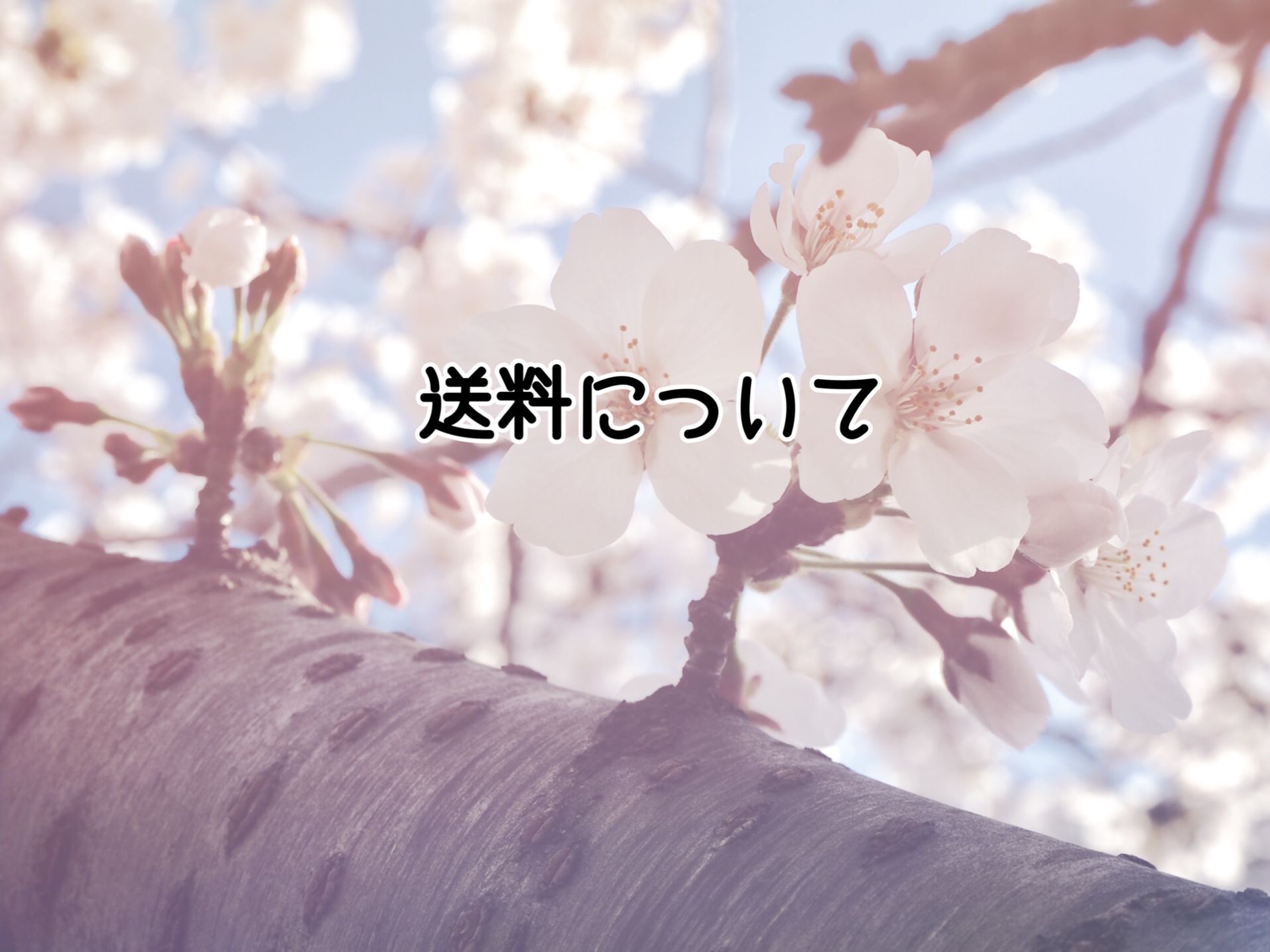 送料について