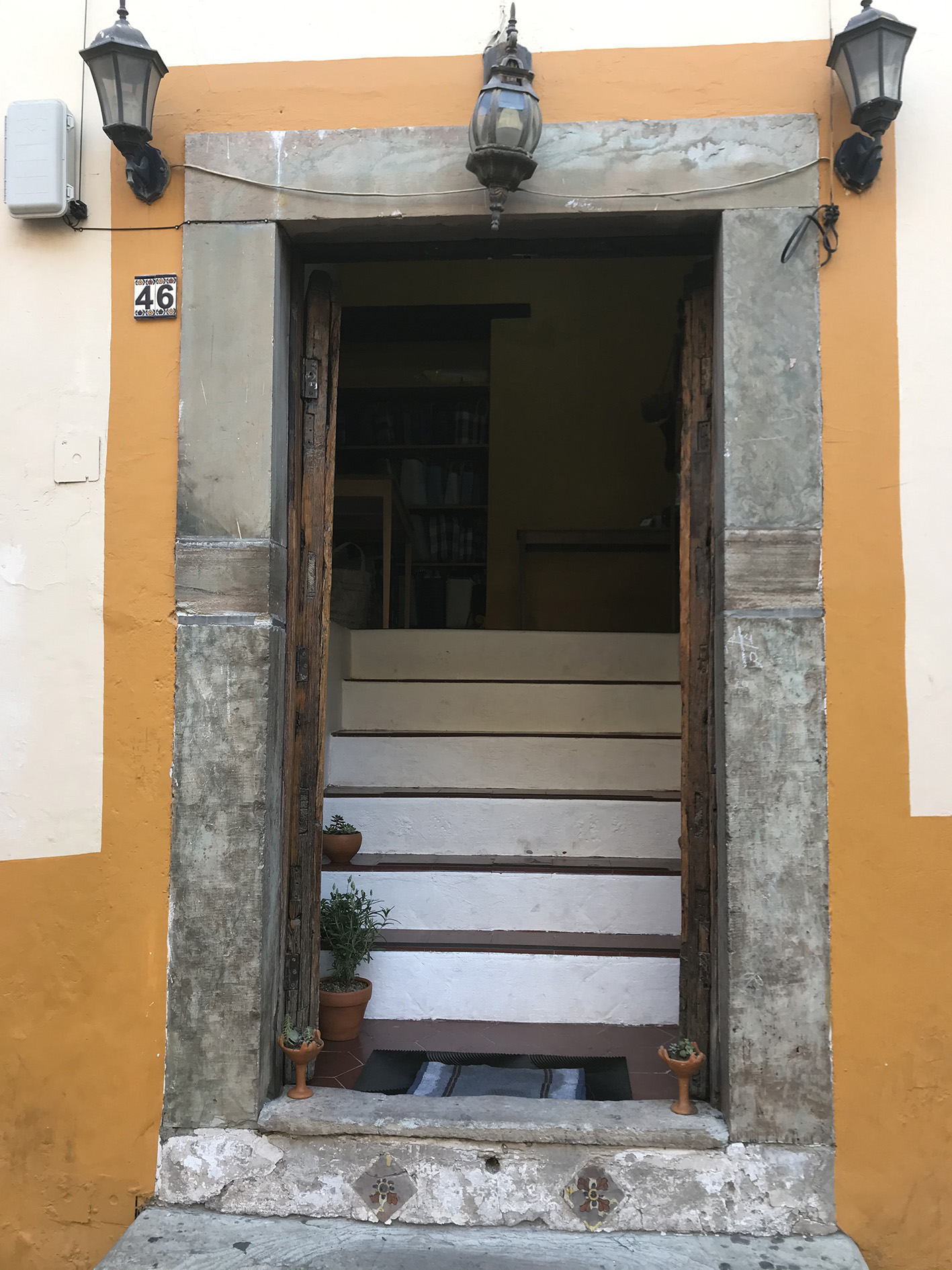 祝！仮オープン