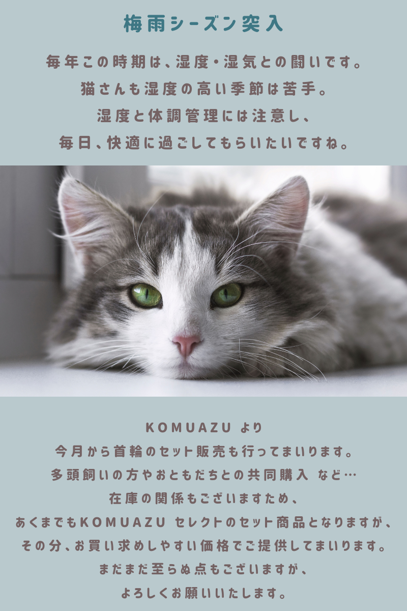 梅雨シーズン突入🐾