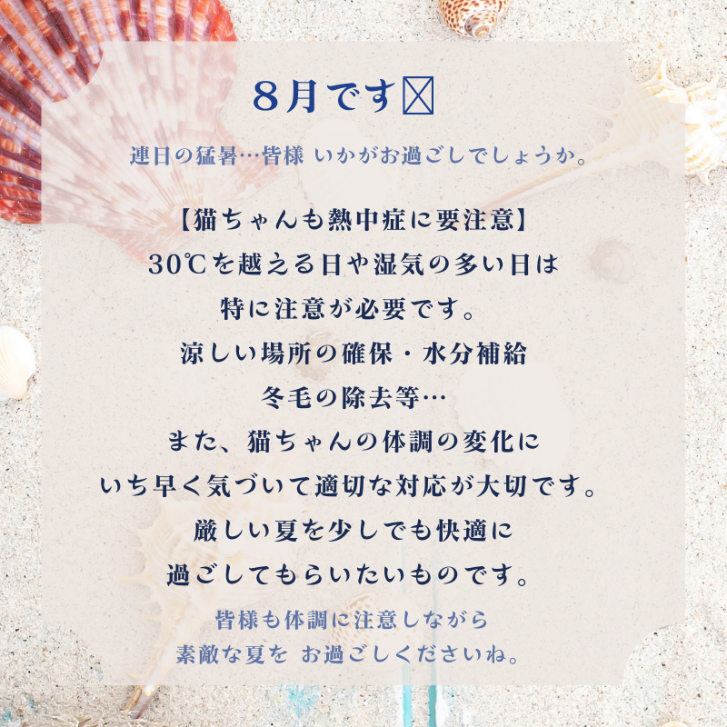 8月です