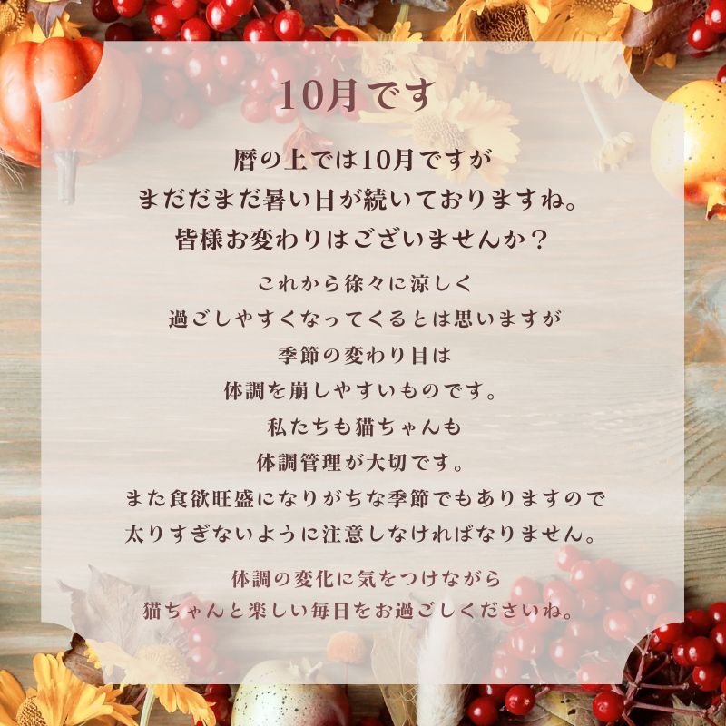 10月です