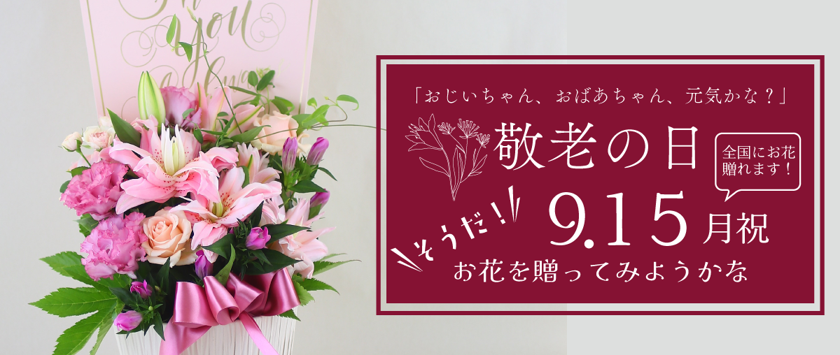 秋のお花のシーズンが到来です！