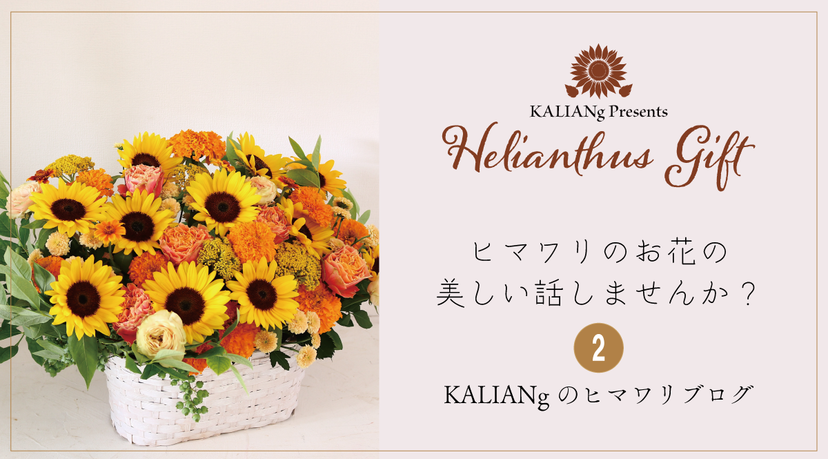 ヒマワリの話②　ヒマワリの花は時に美しい
