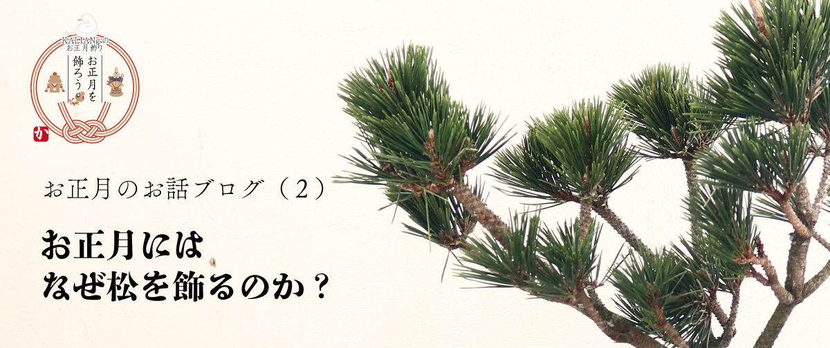 お正月のお話（２）お正月にはなぜ松を飾るのか？