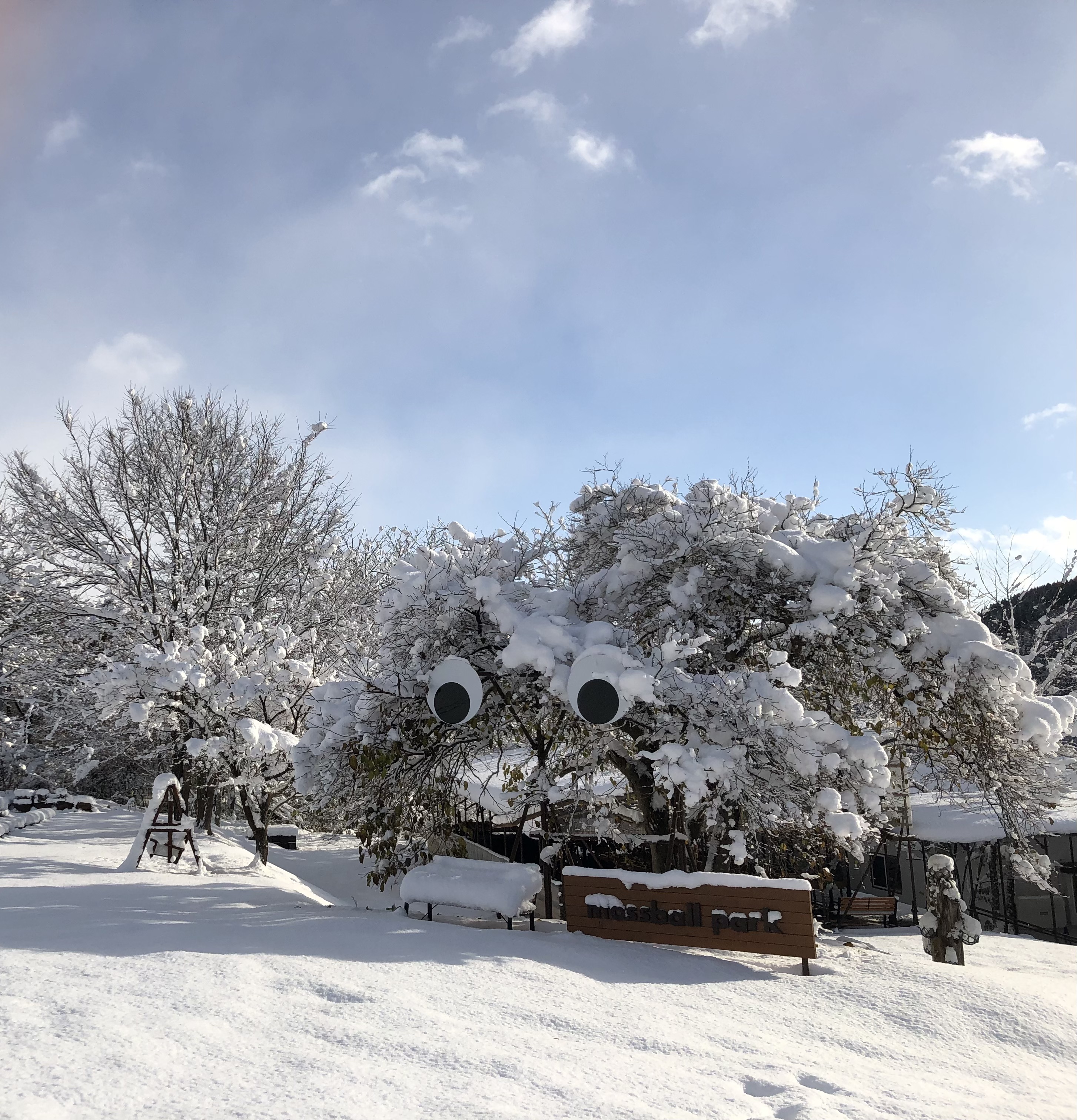 【奥入瀬モスボールパーク】初雪が降りました。