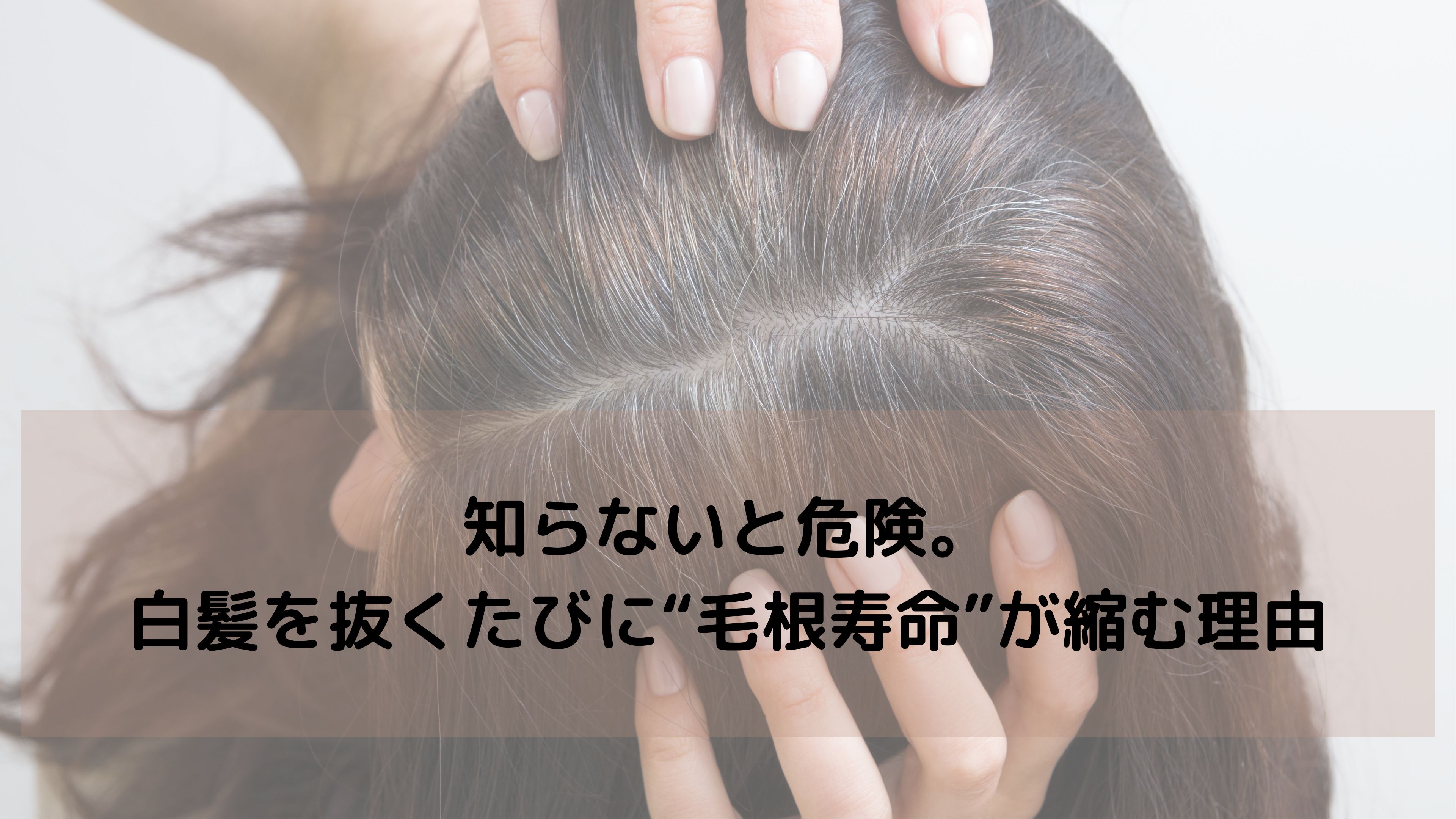 【美容師監修】白髪を抜くと“毛根の寿命”が縮む？知らずに続けるリスクと対処法