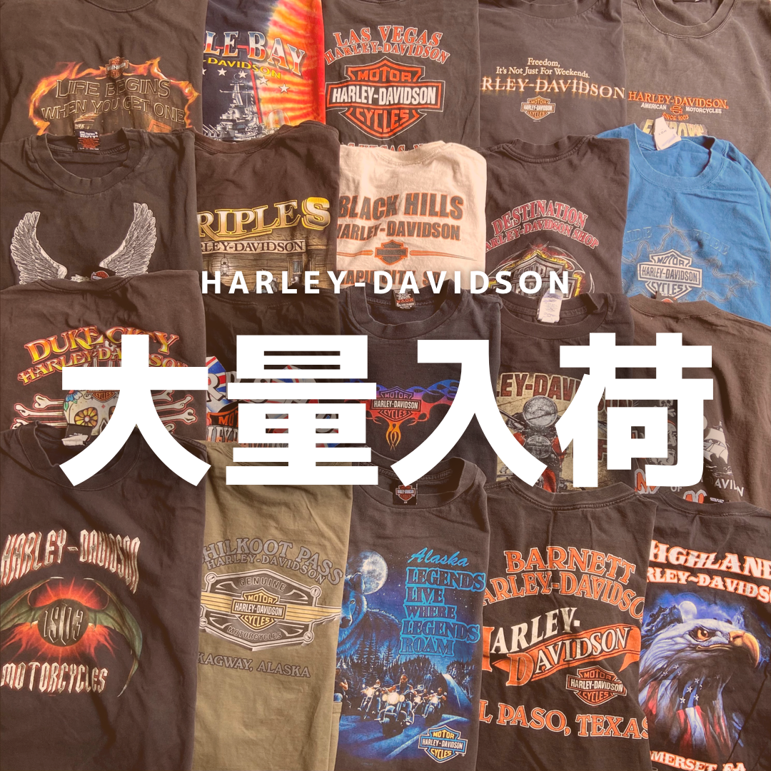 Harley-Davidson Tee 大量入荷!!!