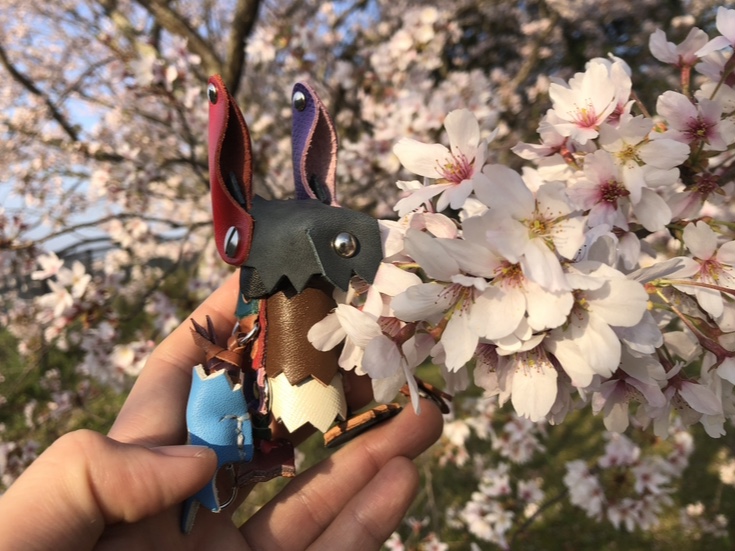 お花見！