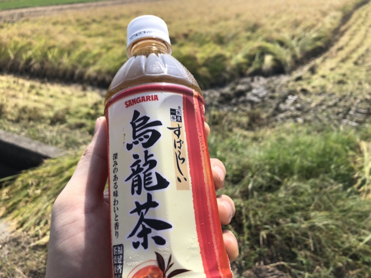 今年も！