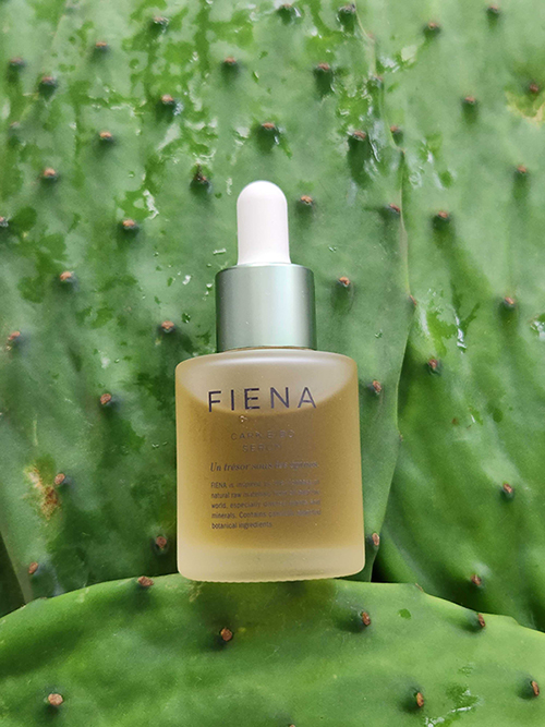 「太陽の葉」が化粧品に！FIENAが導入美容液を発売