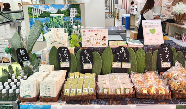 イベント：ビバ！メキシコ展 本日からです！