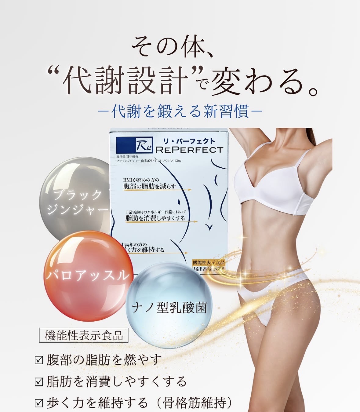 【Reパーフェクト】代謝設計で変わる!痩身専門サロンジョイア