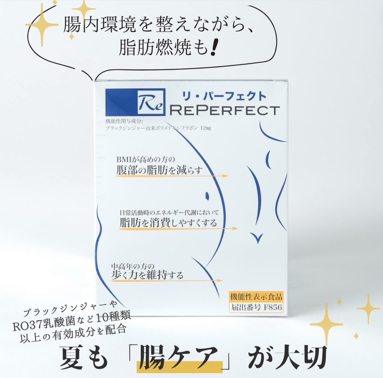 「暑い夏こそ腸内環境を整えよう」 REパーフェクト  （機能性表示食品）