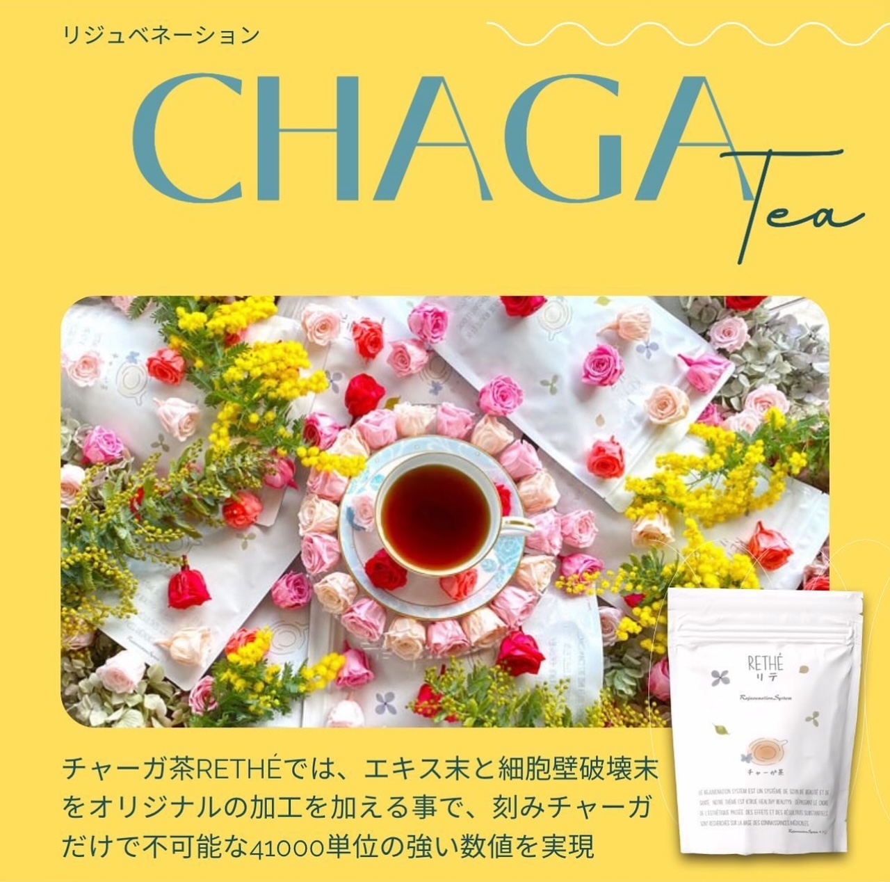 チャーガ茶を飲もう！☘️ジョイア