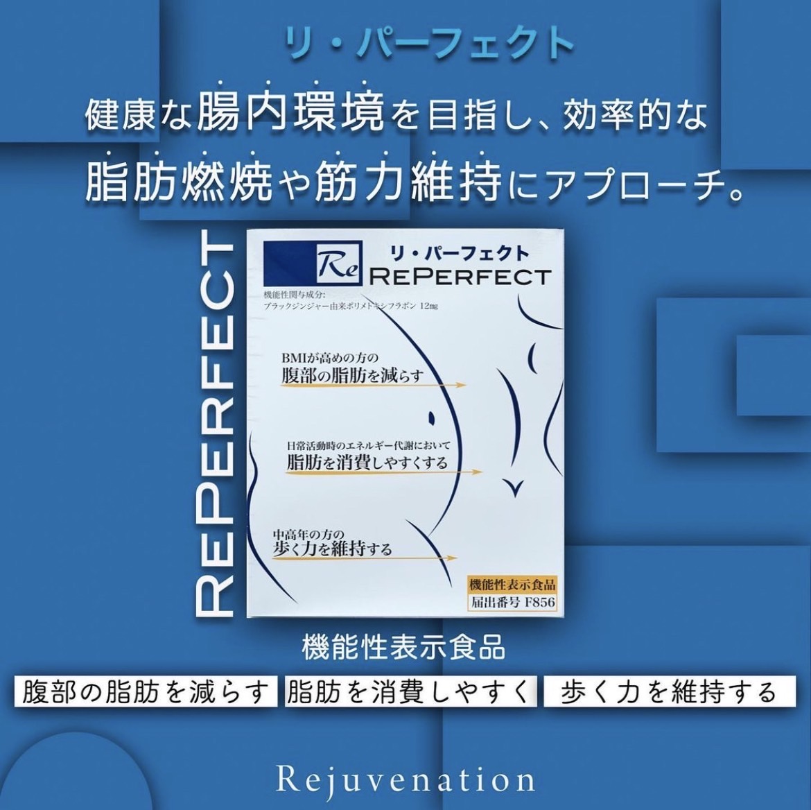 Re-パーフェクトが大人気で美しく痩せる理由「 ビューティ＆デトックス　ジョイア」