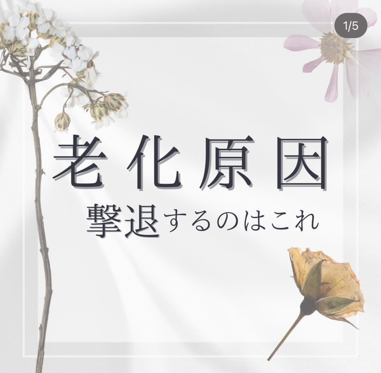 老化の原因🌿撃退するのはこれ
