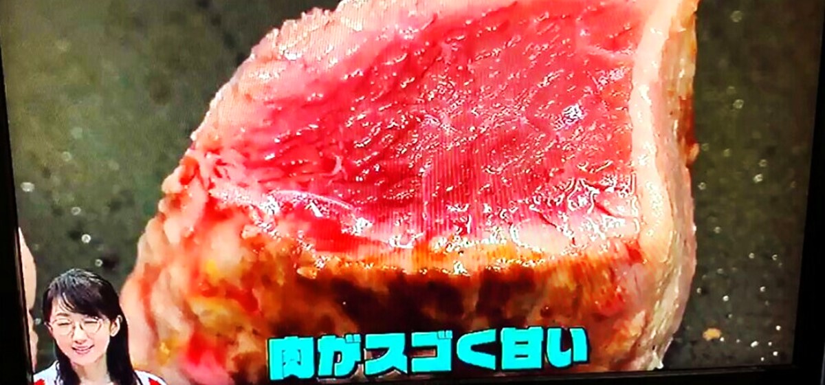 Dishの運営会社がテレビで紹介されました！