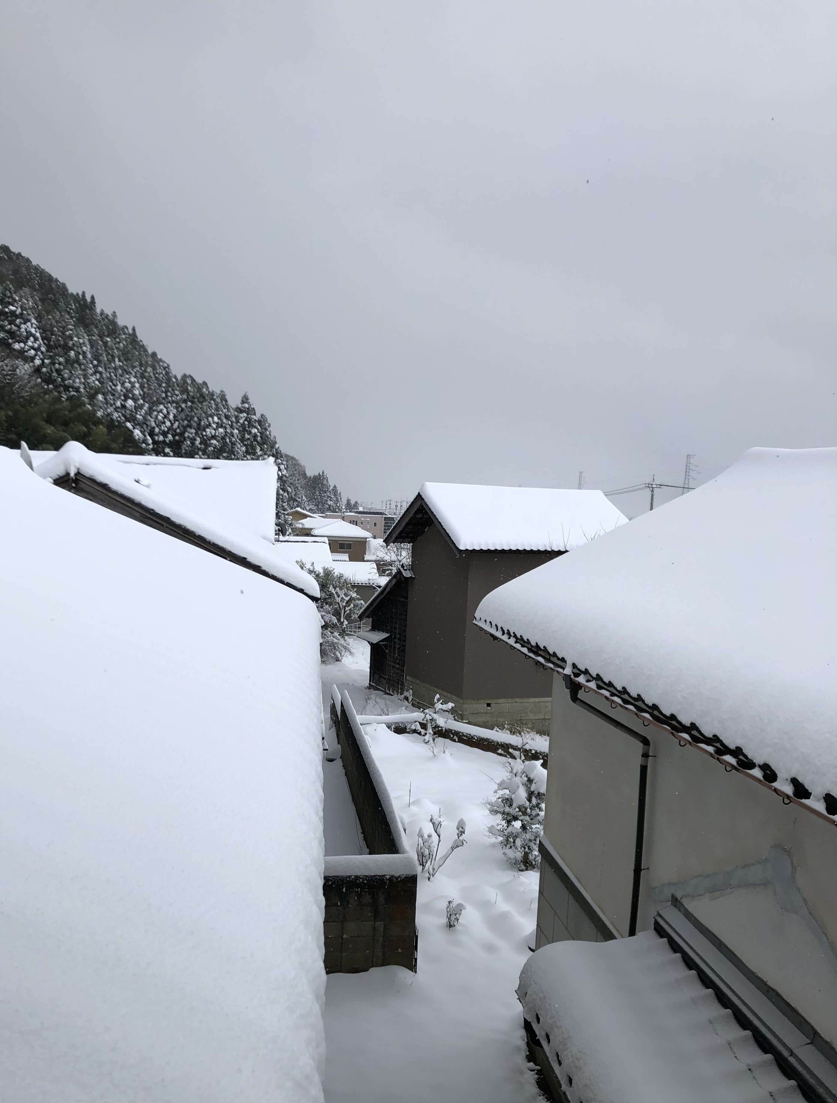 雪が降りました　音楽ドキュメントのことも少し