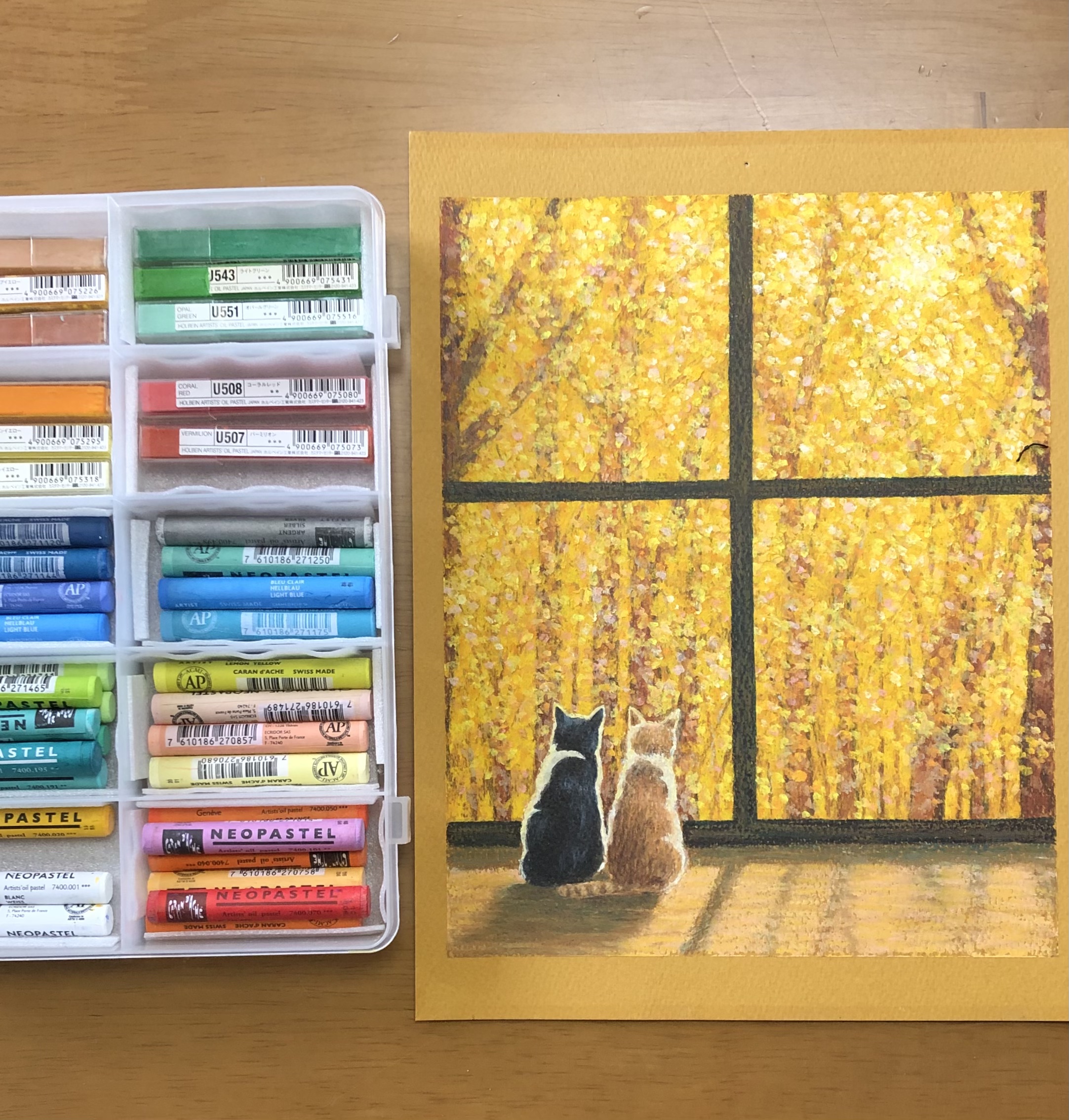 こんなの使ってます🎨
