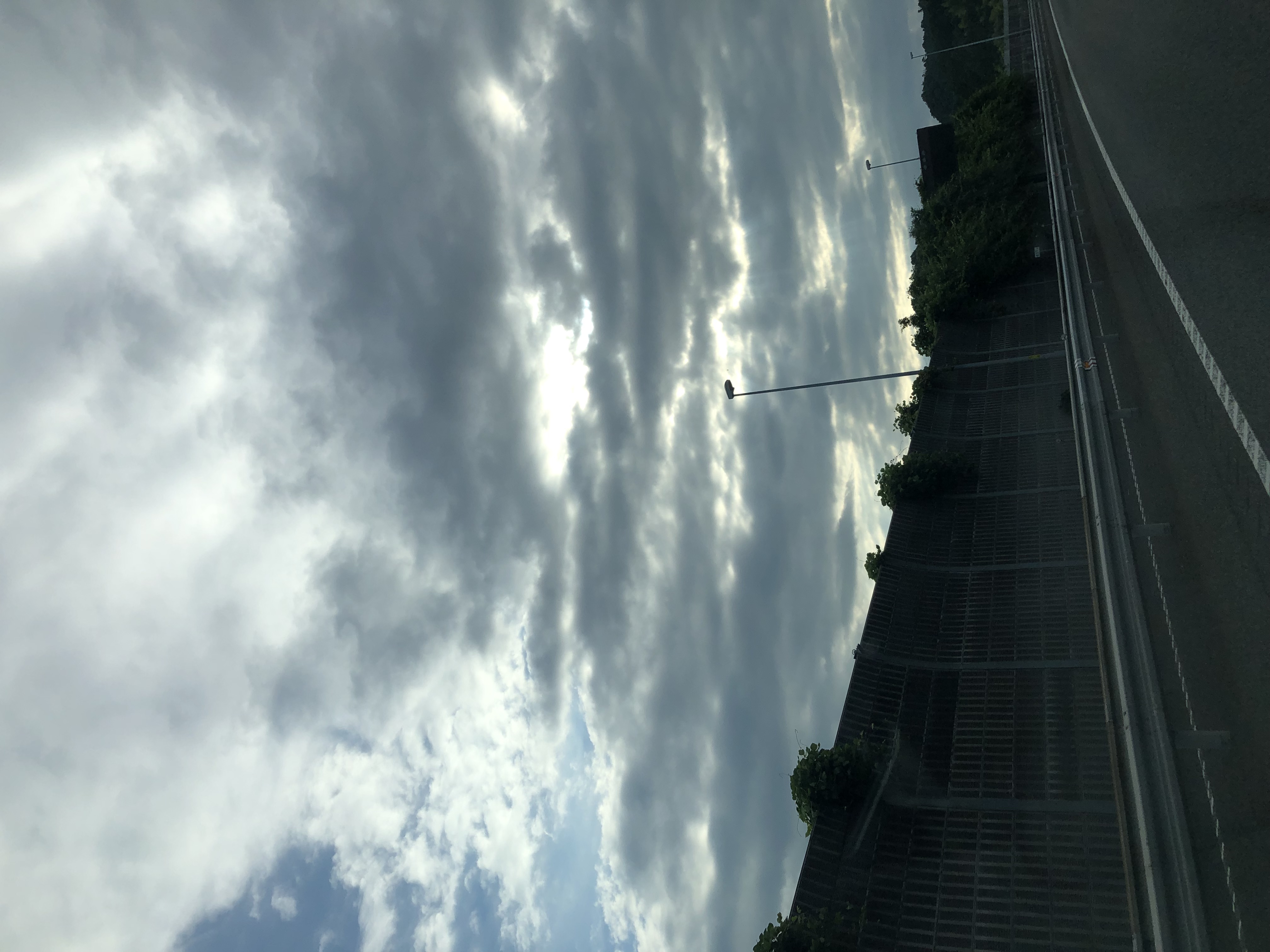 8月はアポイント制になります。