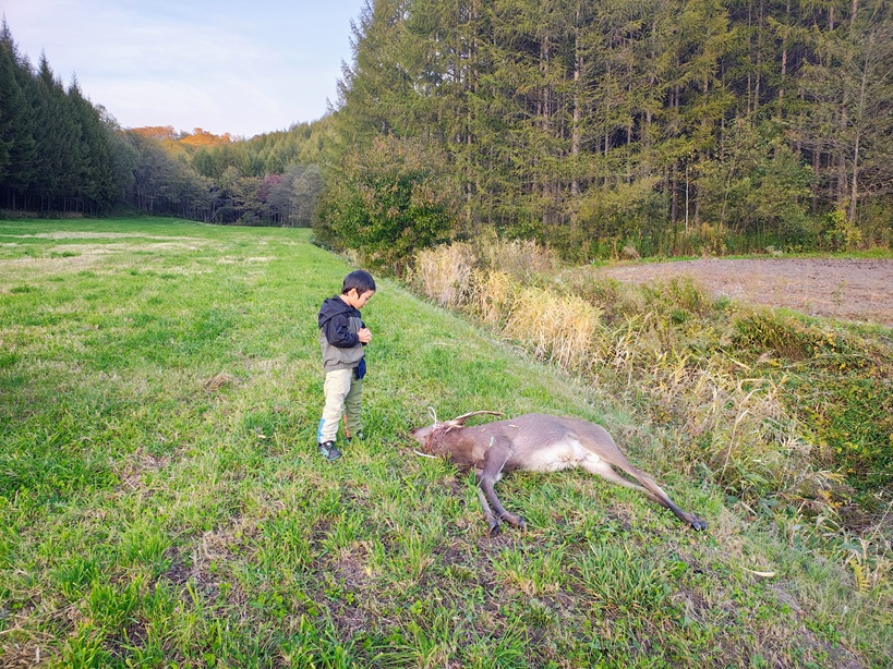 今年度の販売は終了とさせていただきます。