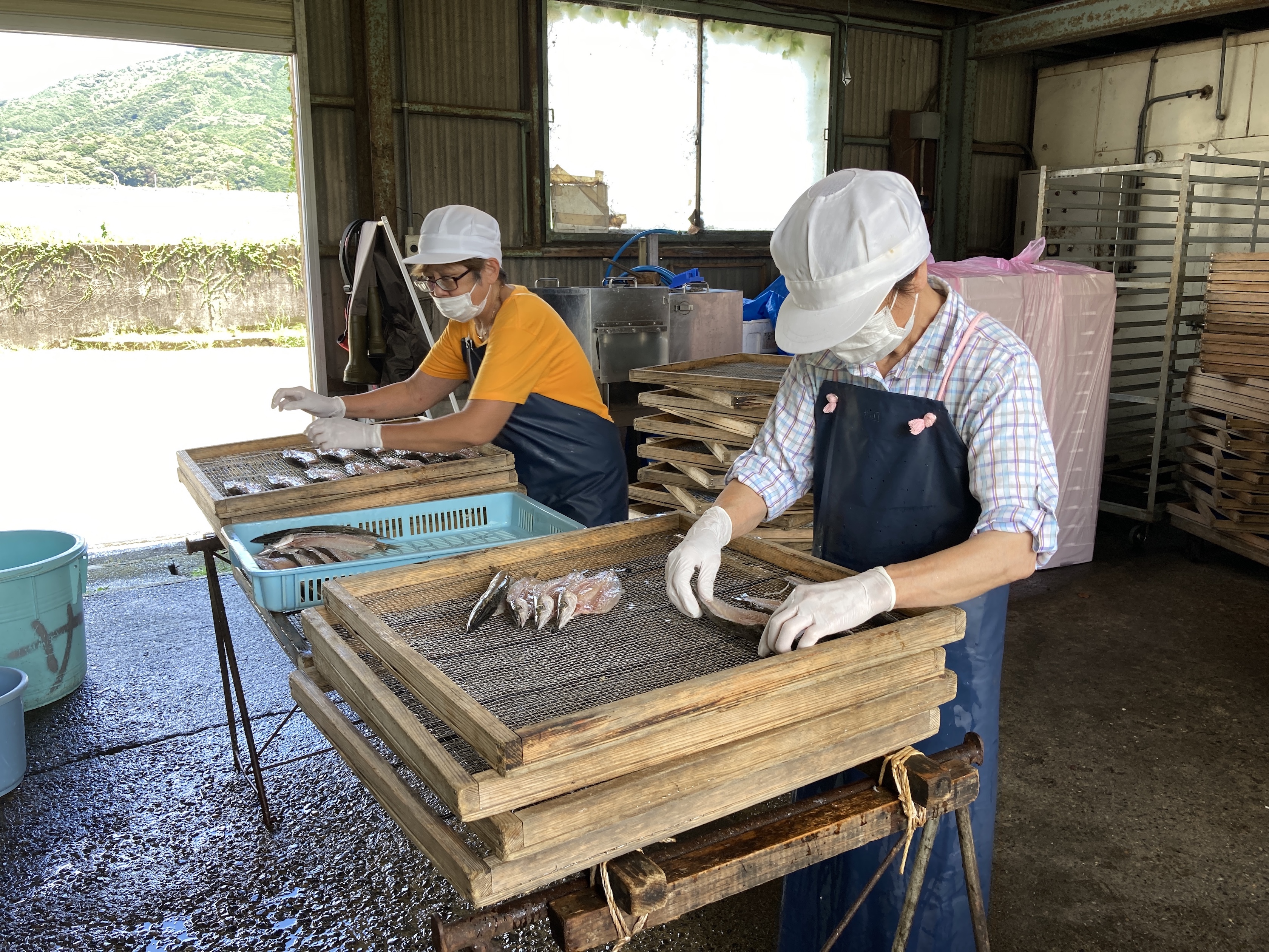 潜入！！！尾鷲の干物やさん