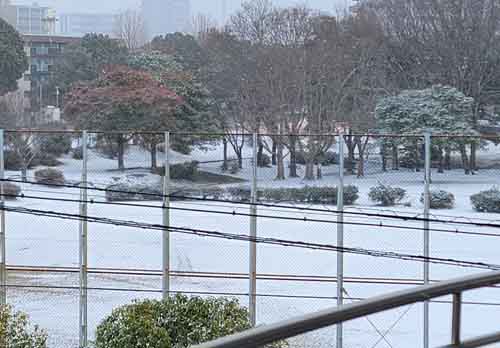 レミオロメンの朝　青空からお日様