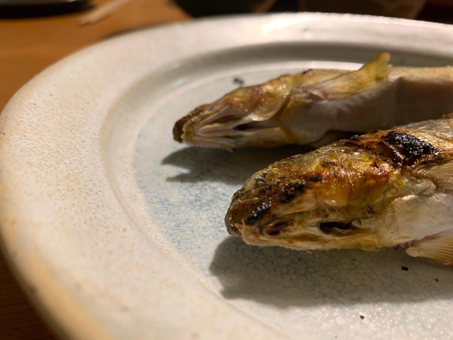 こんにちは！信楽の陶芸家、中尾浩揮です！今日は、、、。