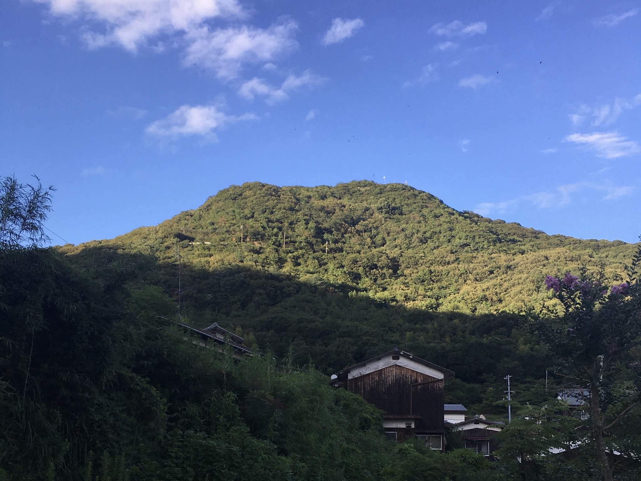 夏休み