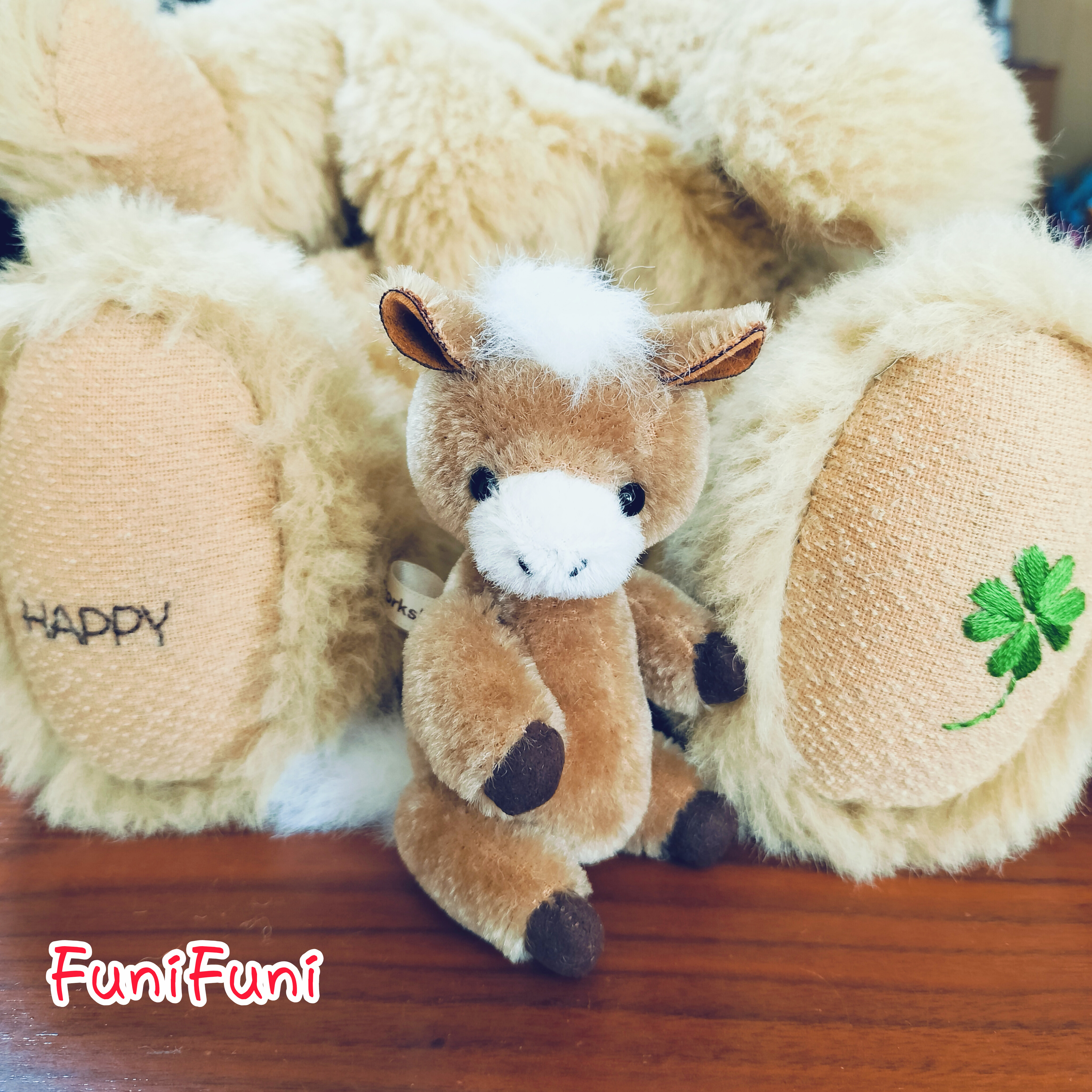 もう12月も半ばですね🎄