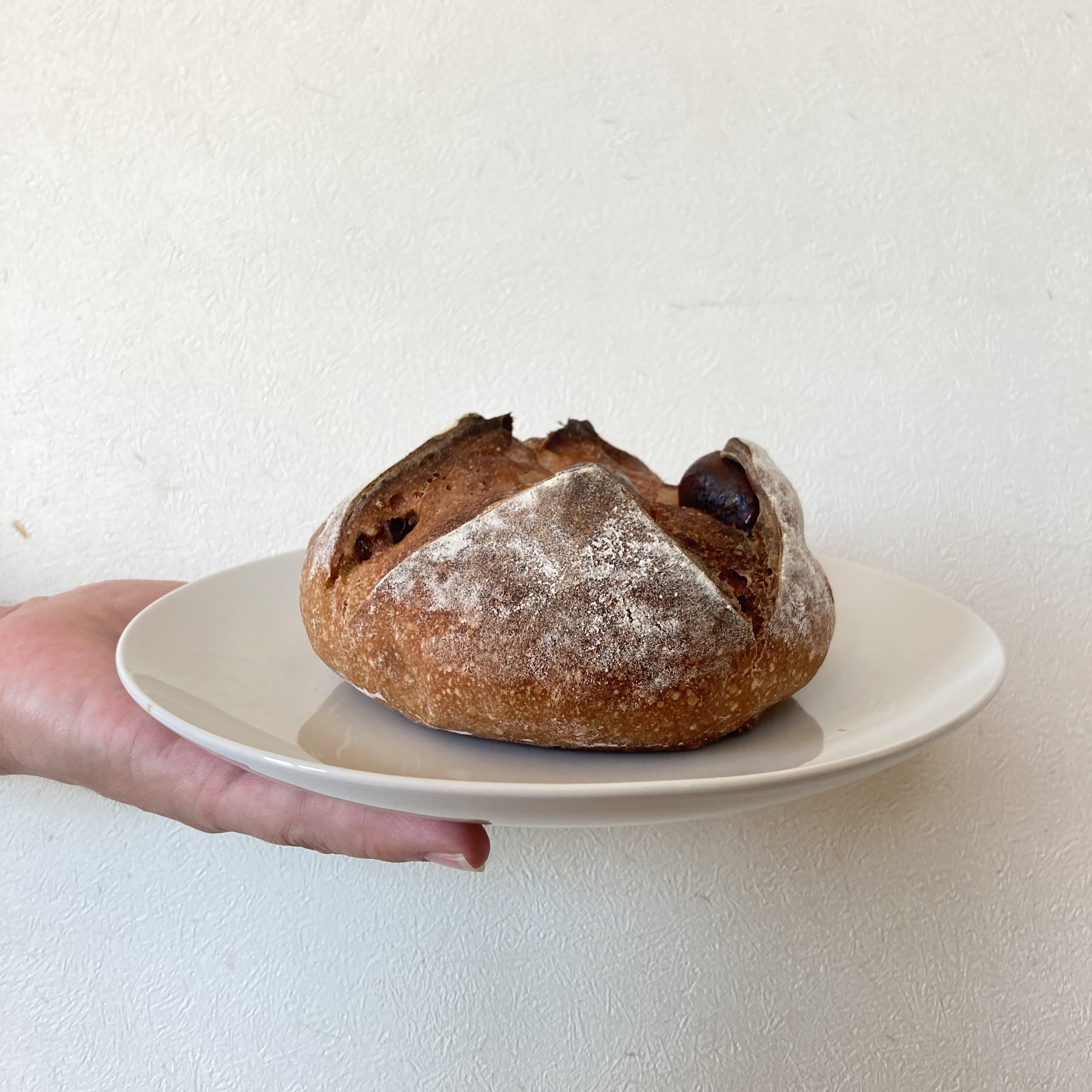 パン祭りの写真祭り