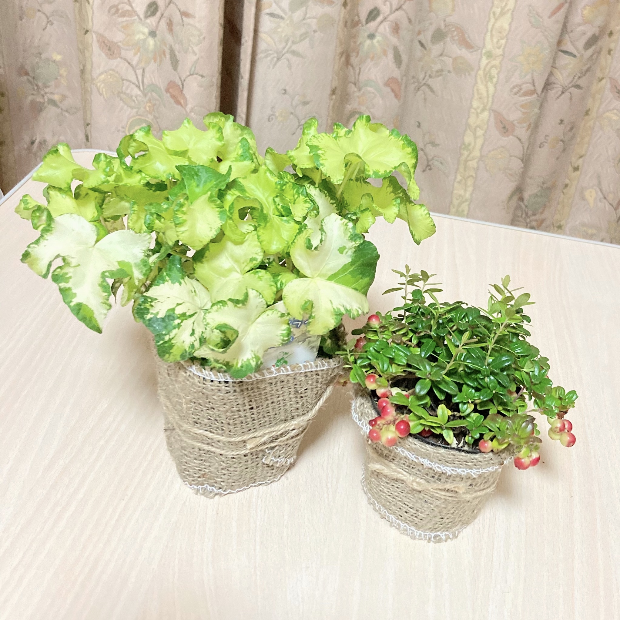 公認キャラが味方になる商品